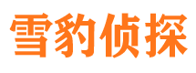 太白市私家侦探